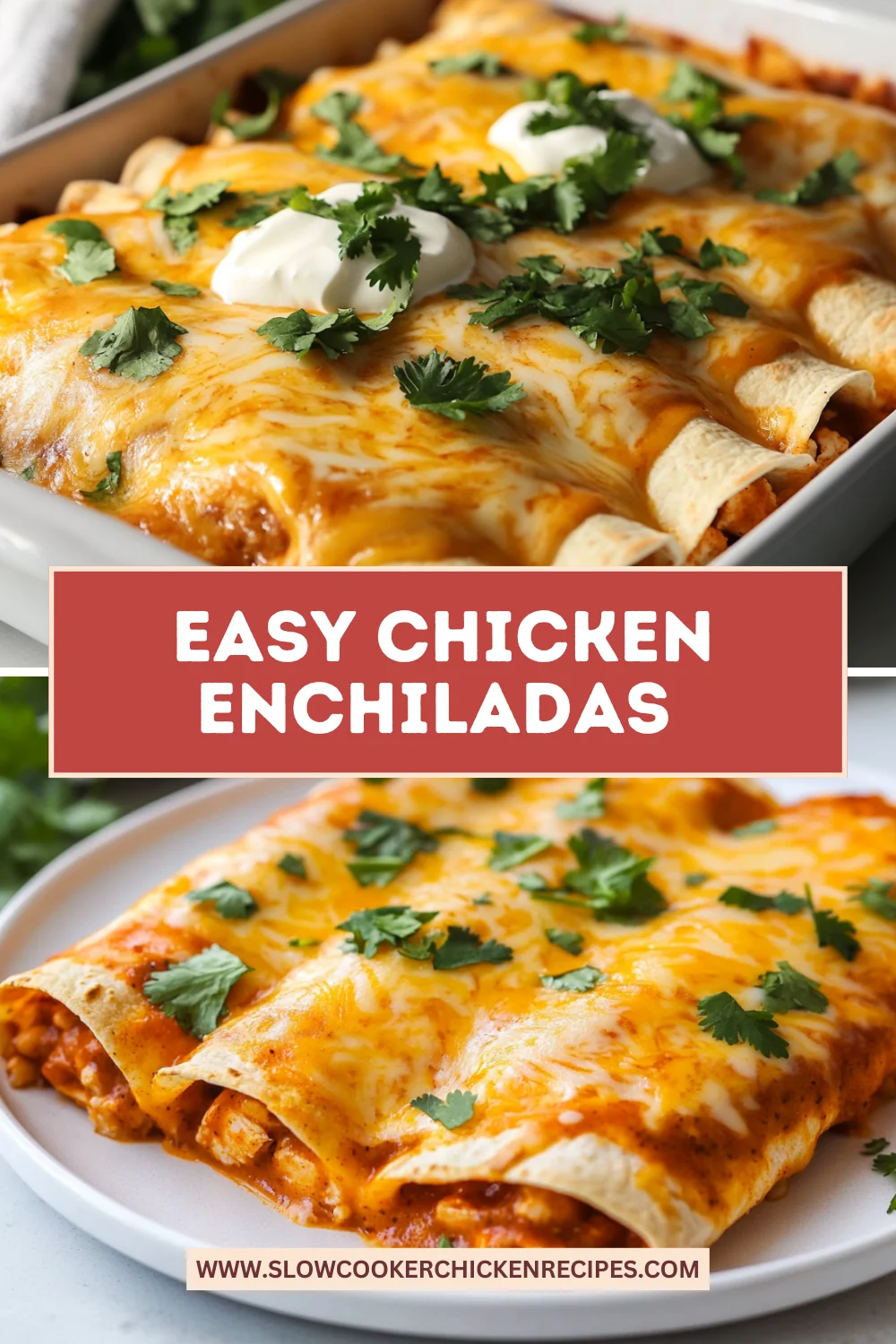 easy chicken enchiladas