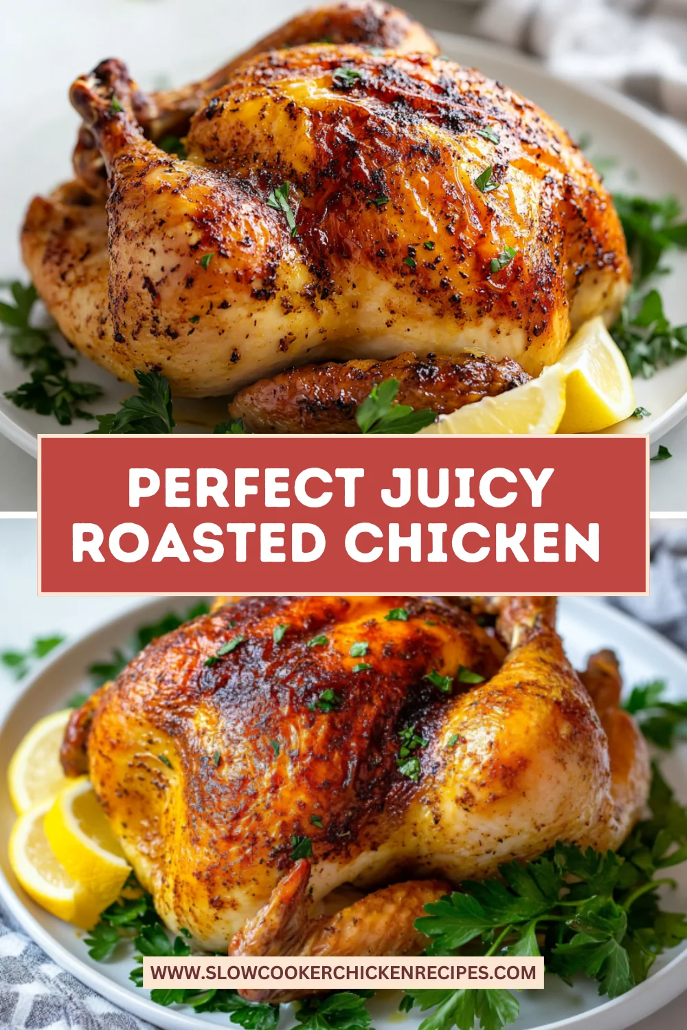 juicy roasted chicken