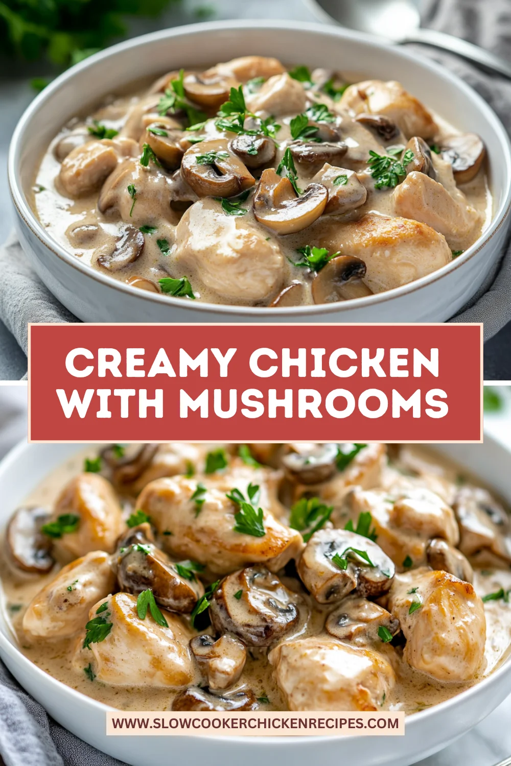 Mushroom Chicken in Sour Cream Sauce