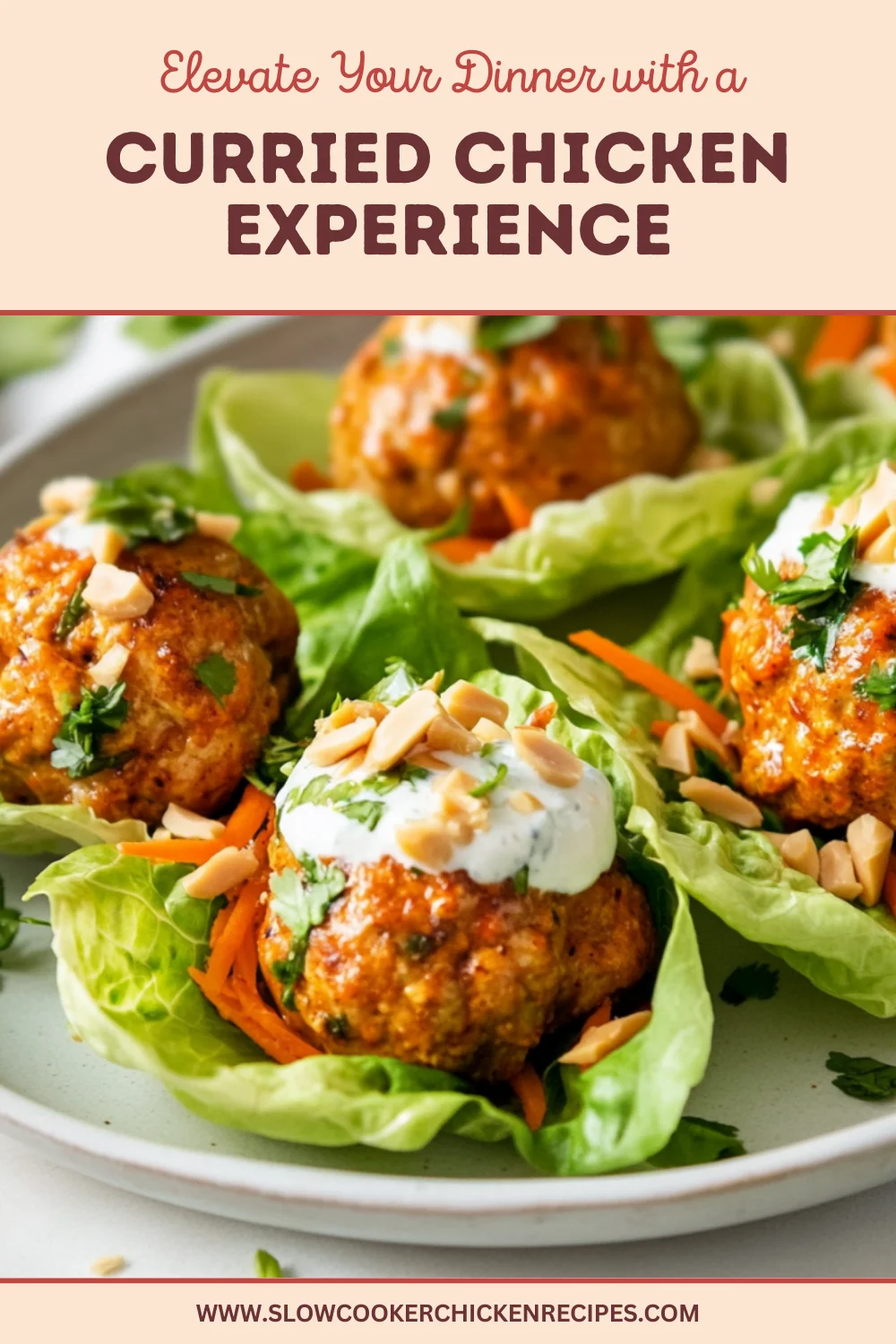 pressure cooker curried chicken meatballs