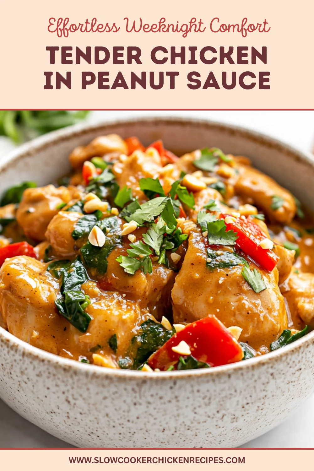 slow cooker Thai peanut chicken