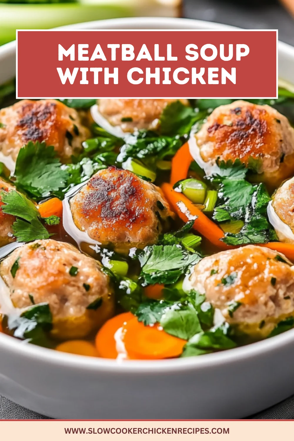 Vietnamese chicken meatball soup